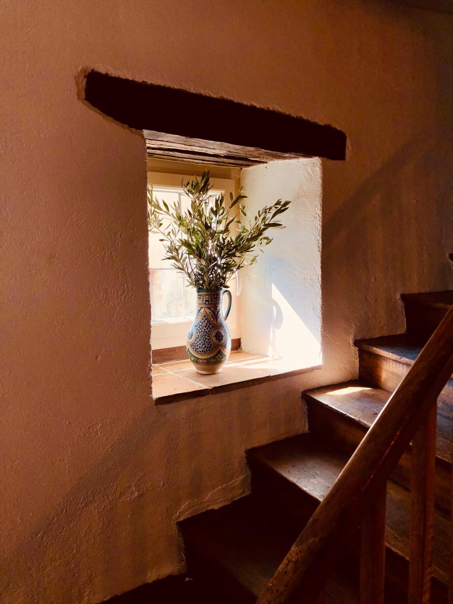 Maison De L'Aurausse Les Cabannes  外观 照片